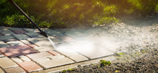 Best Dumpster Area Cleaning  in Trumansburg, NY