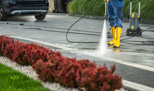 Best Building Exterior Washing  in Trumansburg, NY